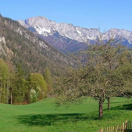 In Klanxbull